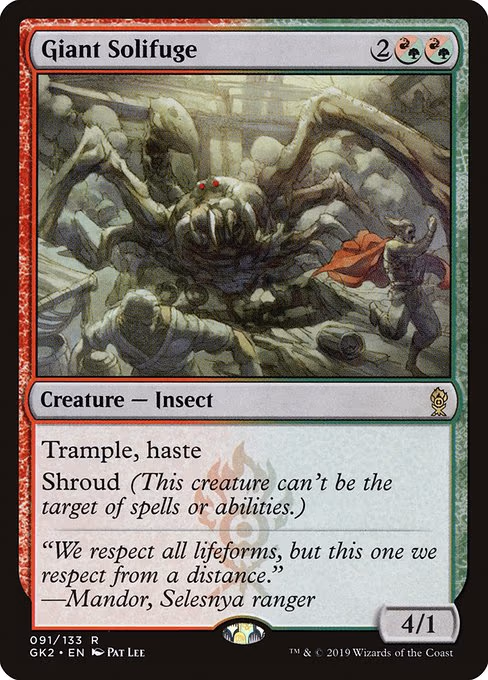 Giant Solifuge