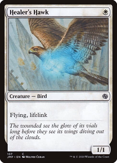 Healer's Hawk