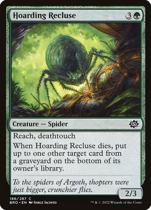 Hoarding Recluse