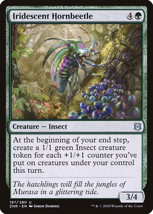 Iridescent Hornbeetle
