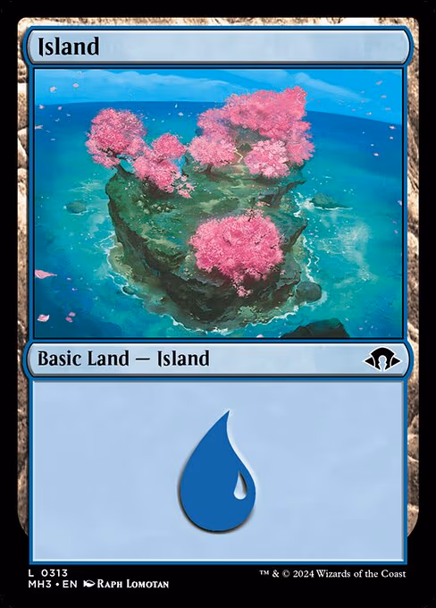 Island - L (313)