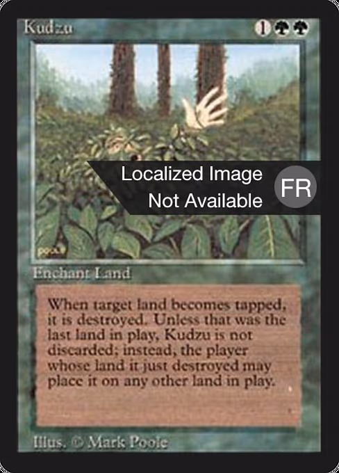 Kudzu