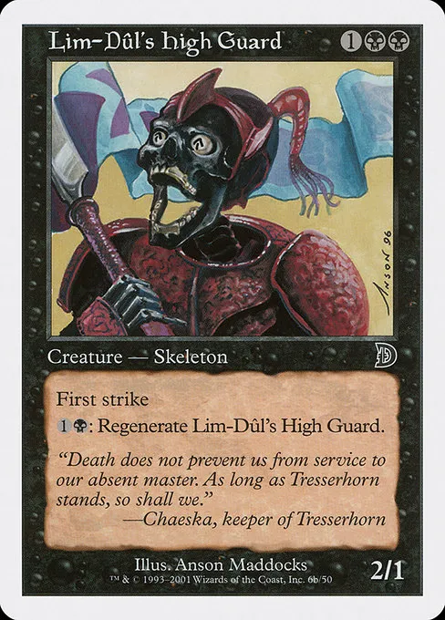 Lim-Dul's High Guard