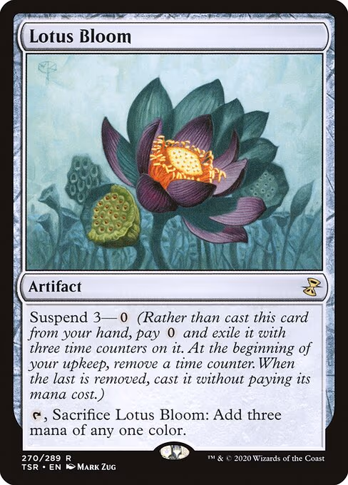Lotus Bloom