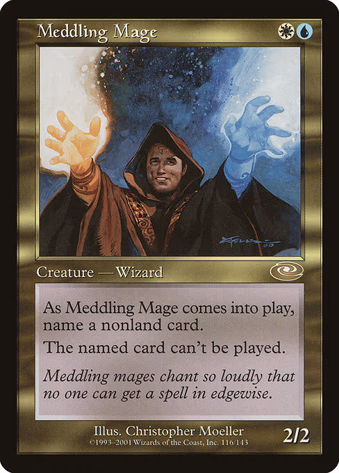 Meddling Mage