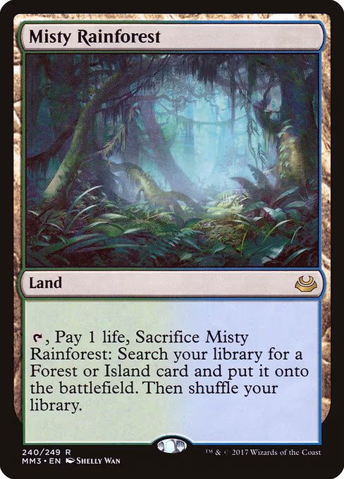 Misty Rainforest