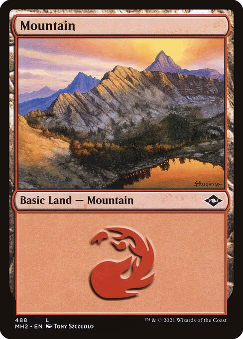 Mountain - L (488)