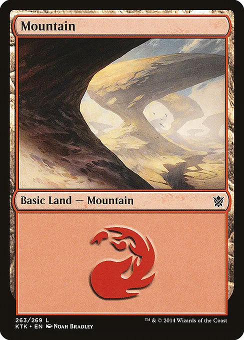 Mountain - L (263)