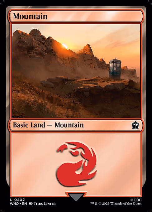 Mountain - L (202)