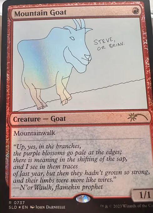 Mountain Goat