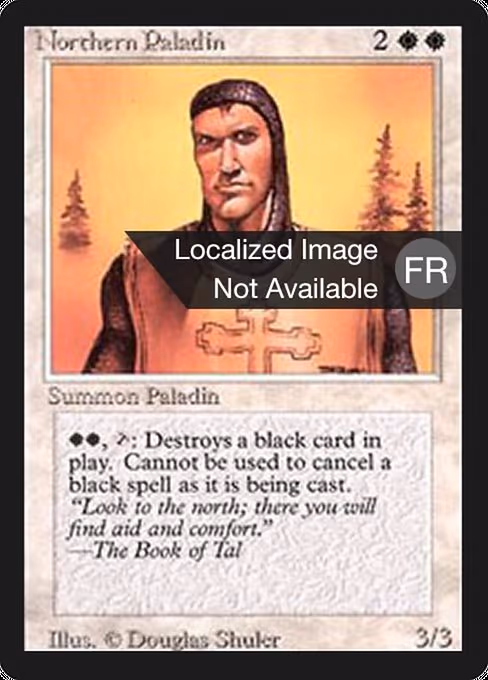 Northern Paladin