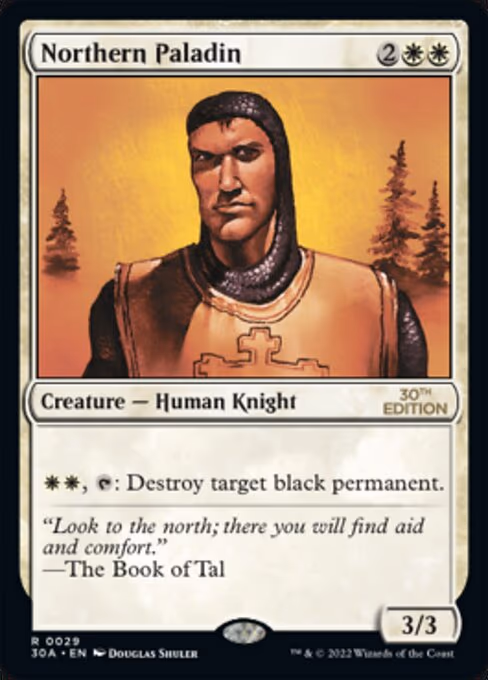Northern Paladin