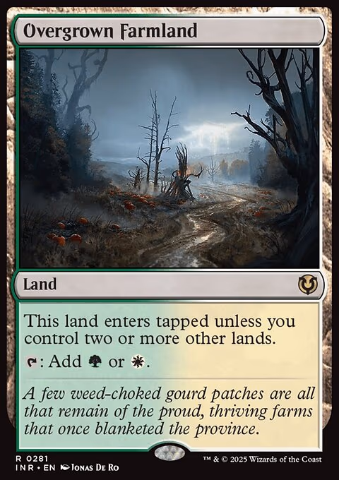 Overgrown Farmland