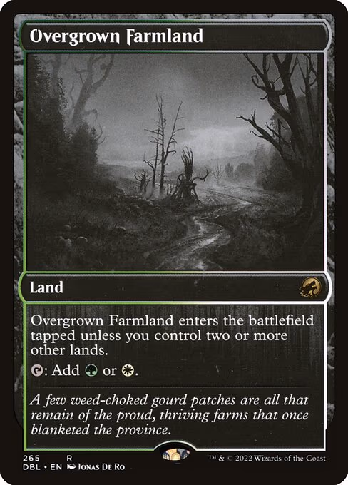 Overgrown Farmland