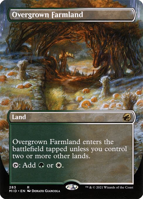 Overgrown Farmland