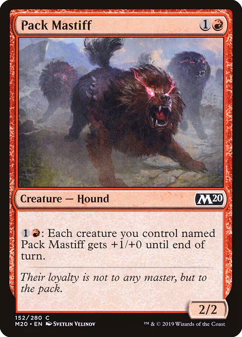 Pack Mastiff