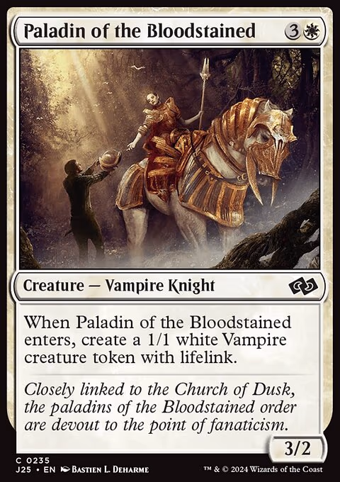Paladin of the Bloodstained