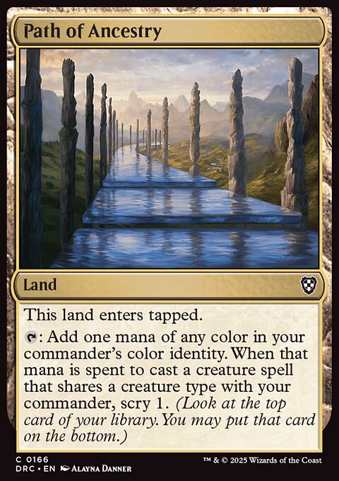 Path of Ancestry - C (166)