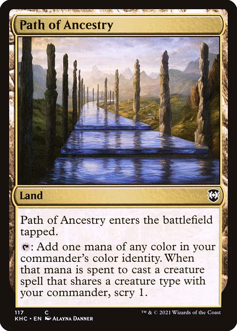 Path of Ancestry - C (117)