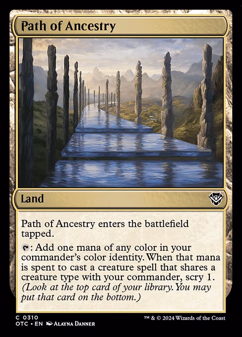 Path of Ancestry - C (310)