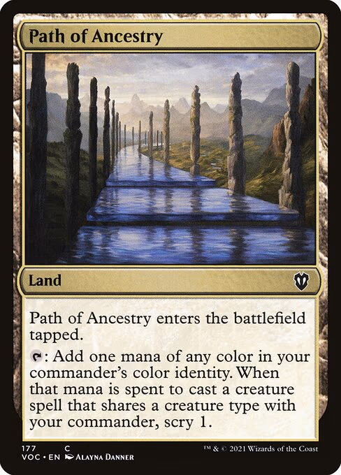 Path of Ancestry - C (177)