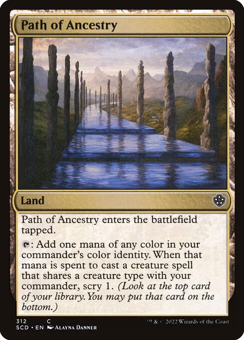 Path of Ancestry - C (312)