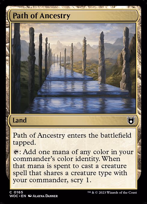 Path of Ancestry - C (165)