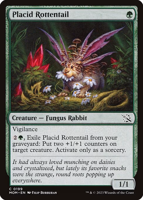 Placid Rottentail - C (199)