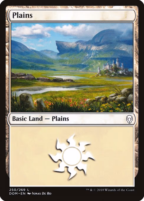 Plains - L (250)