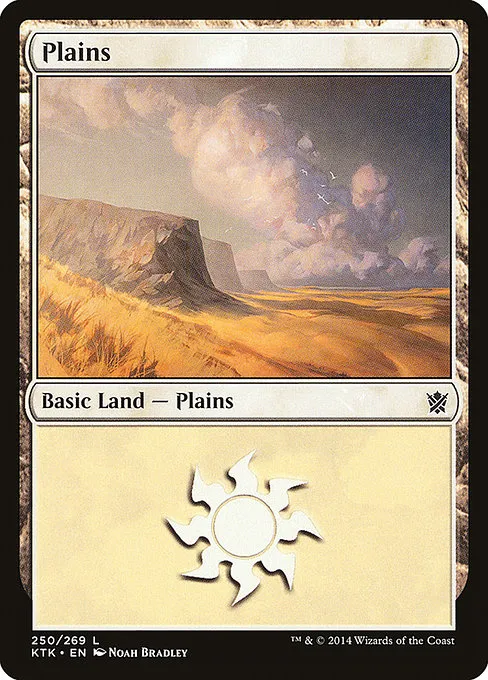 Plains - L (250)