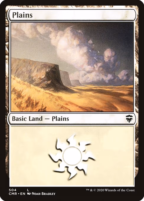 Plains - L (504)