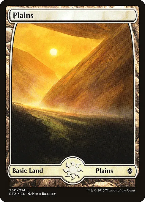 Plains - L (250)