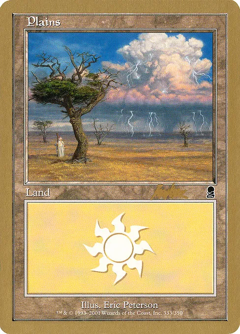 Plains (333) - 2002 Brian Kibler