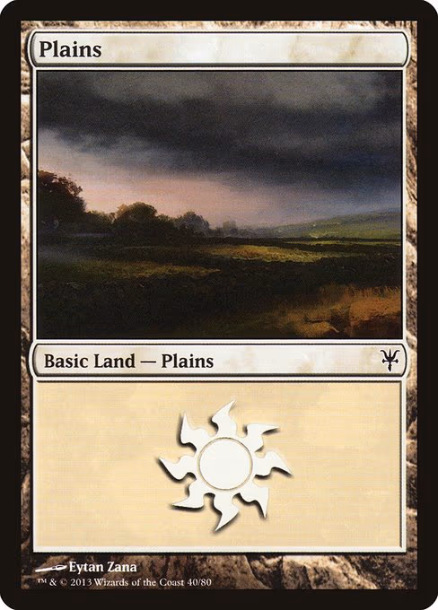 Plains - L (40)