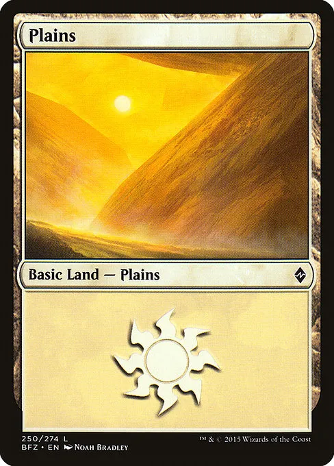Plains - L (250)