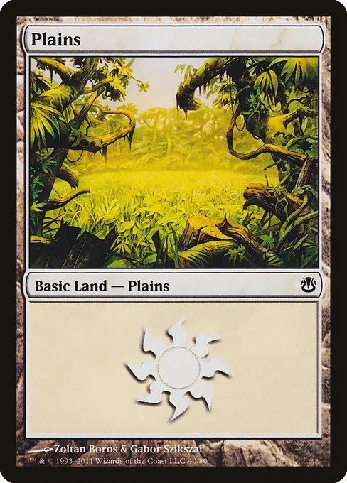 Plains - L (40)