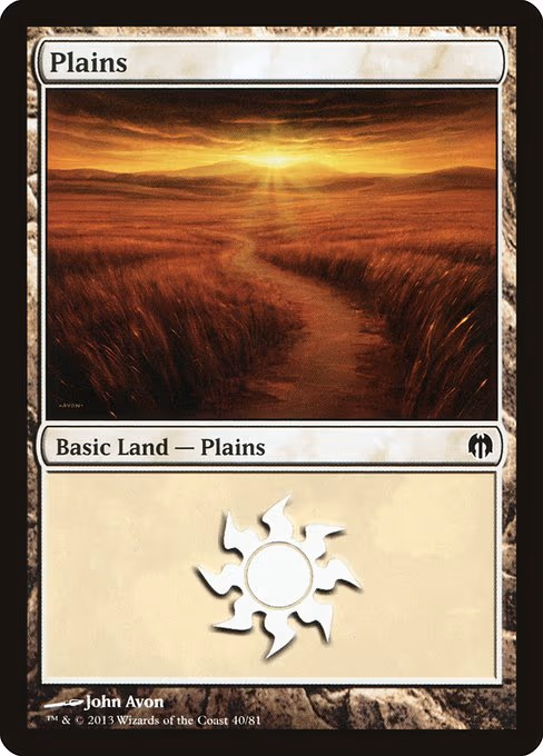 Plains - L (40)