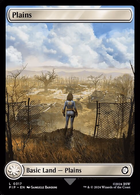 Plains - L (317)