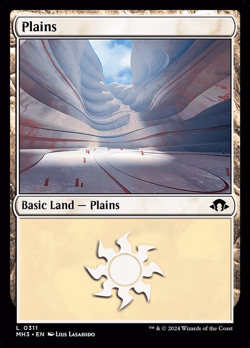 Plains - L (311)