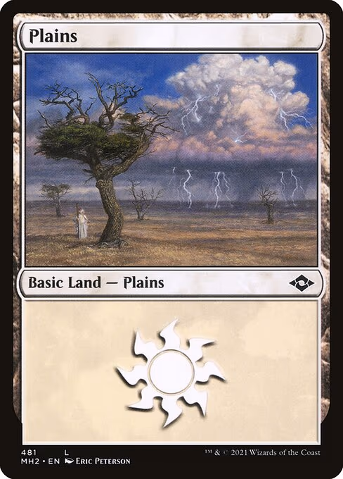 Plains - L (481)