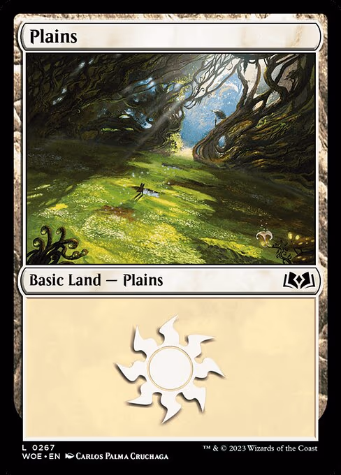 Plains - L (267)