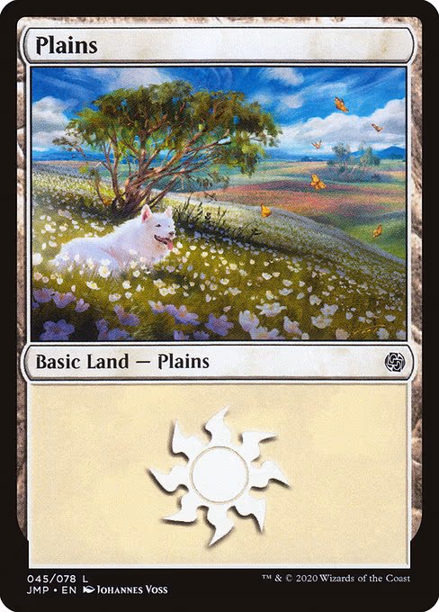 Plains - L (45)