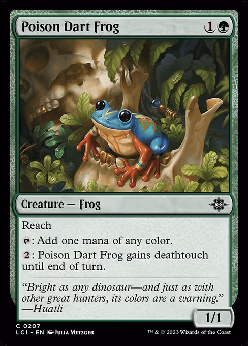 Poison Dart Frog