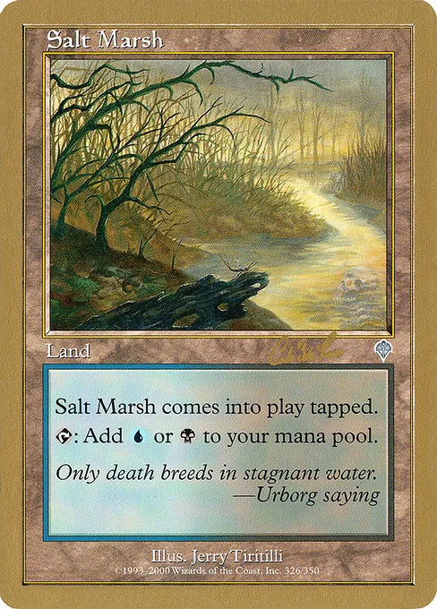 Salt Marsh - 2002 Carlos Romao