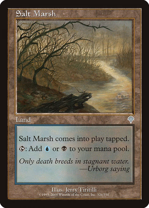 Salt Marsh