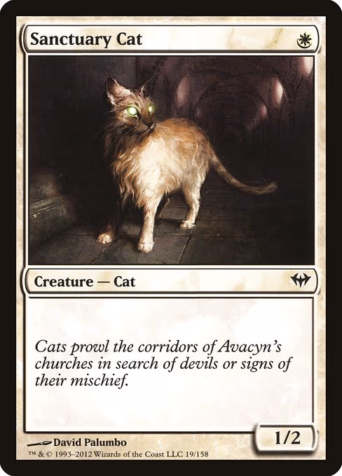 Sanctuary Cat