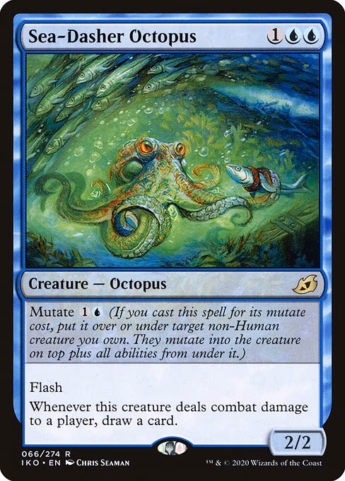 Sea-Dasher Octopus