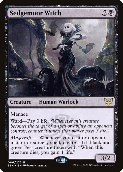 Sedgemoor Witch