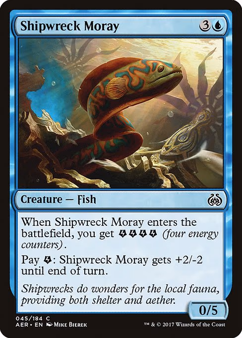 Shipwreck Moray - C (45)