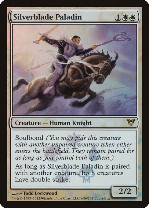 Silverblade Paladin